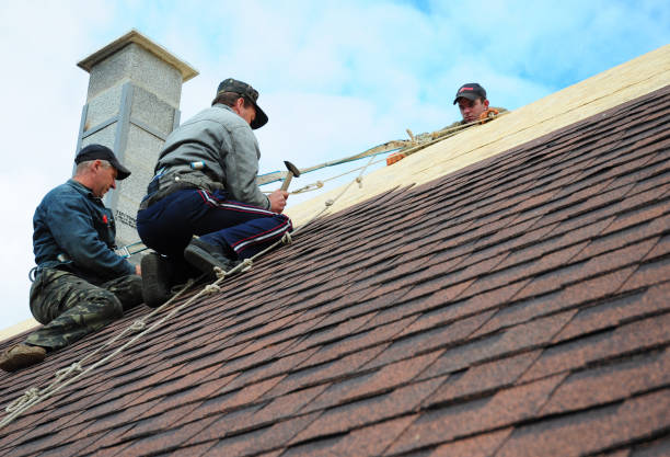 Best Roof Gutter Cleaning  in Pilot Point, TX